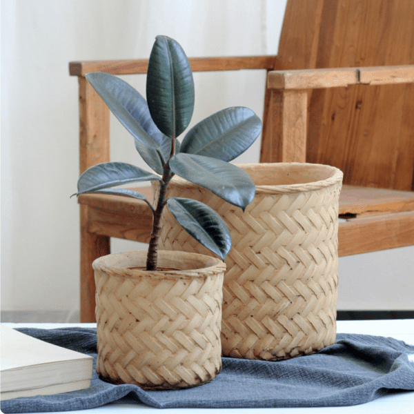 Rattan Baskets